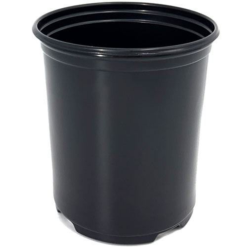 6.30 Round Pot Coex Black with Tag Slot - 10,710 per pallet - Grower